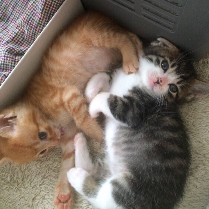 70ff1a46 17b0 4da8 9f07 01086b345eef