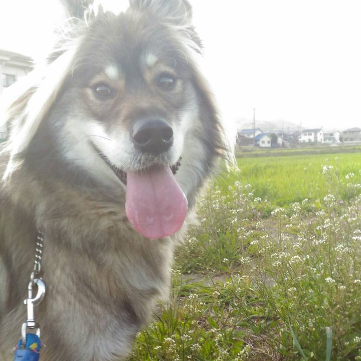 70ff8a5d e02e 4b50 9687 dd27249e611a