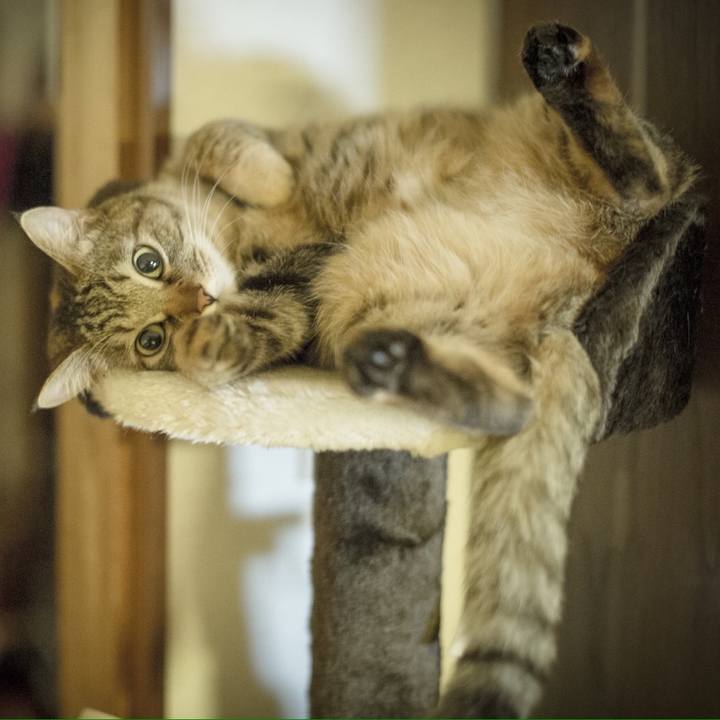 70ffaebc f61a 4f2b 96ad 8e475b0e9c67