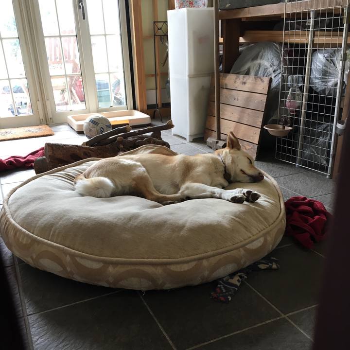 70ffb2ed 7ad5 4be1 ae6a e69540b843e3