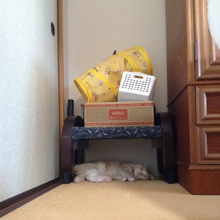 70ffb5f5 9937 4f3a af0b 8567c9c7a193