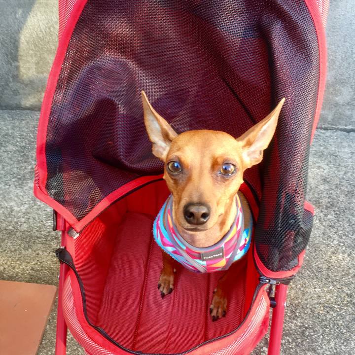 70ffc348 6764 4f91 8d0a 162338fe0443