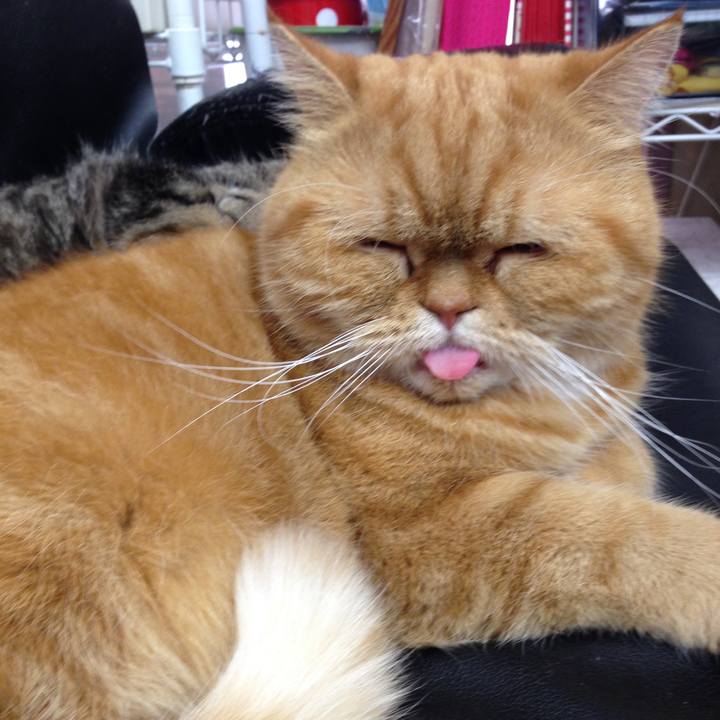 710081af fcf8 4b27 a087 bd7ff0bf2f48