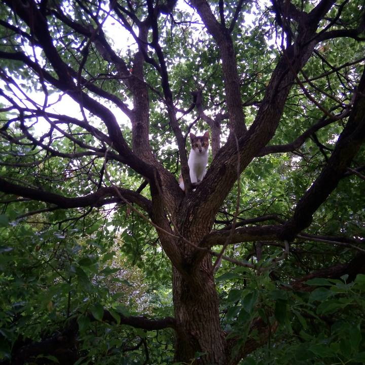 71009096 8483 437a a8da ad820a0a1915