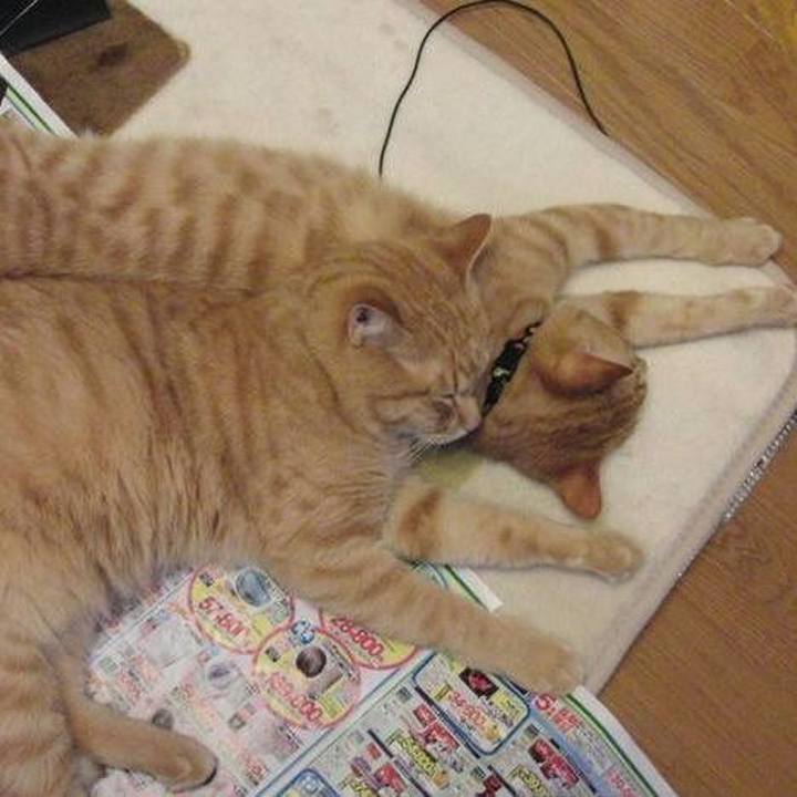 7100d690 514b 4cc7 93df 91b0d9cac057