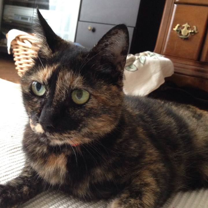 7101b3dd b3d7 4954 b927 fc5a9e637562