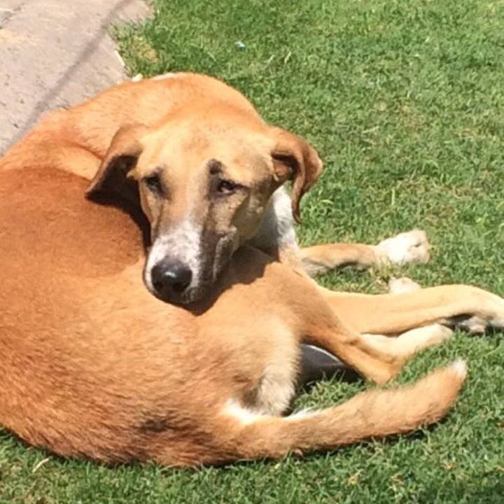 7102839c 5d2d 4f6e 81fb a4dc2b332548