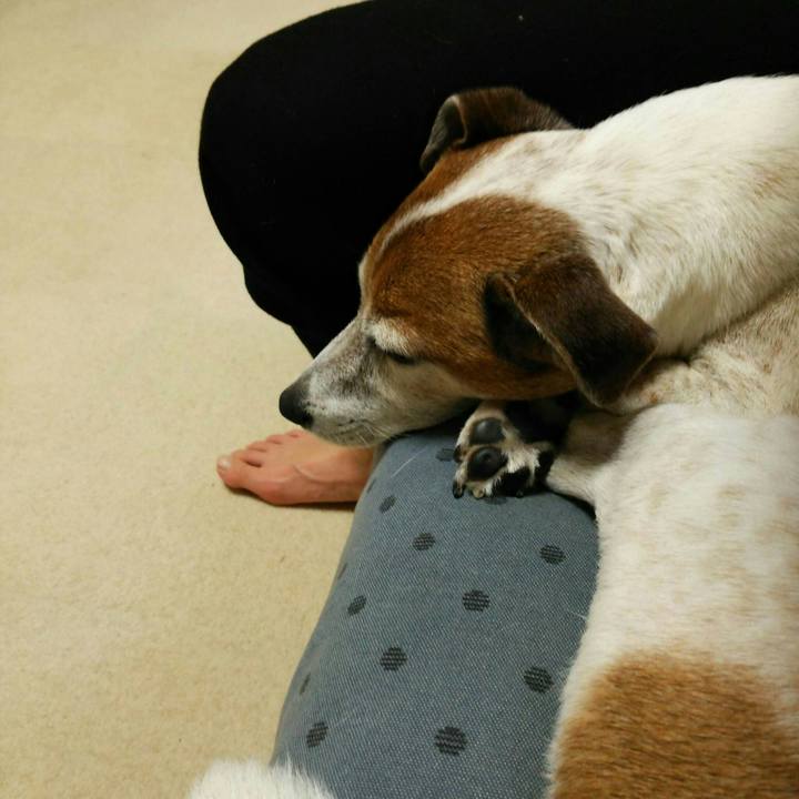 71030df9 abe6 4066 ae9c 93c62305cb66