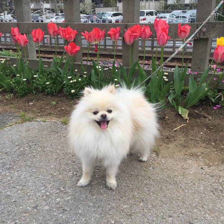 71030f28 d0a2 4a04 9ff3 17c991c90f86