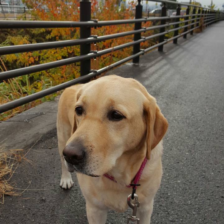 71039da8 471b 4b33 bc51 5b158f390f0c