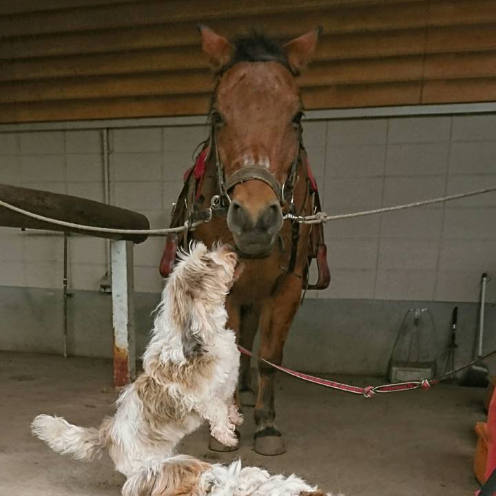 71042c81 1f05 455c 860a 56d33f319b57