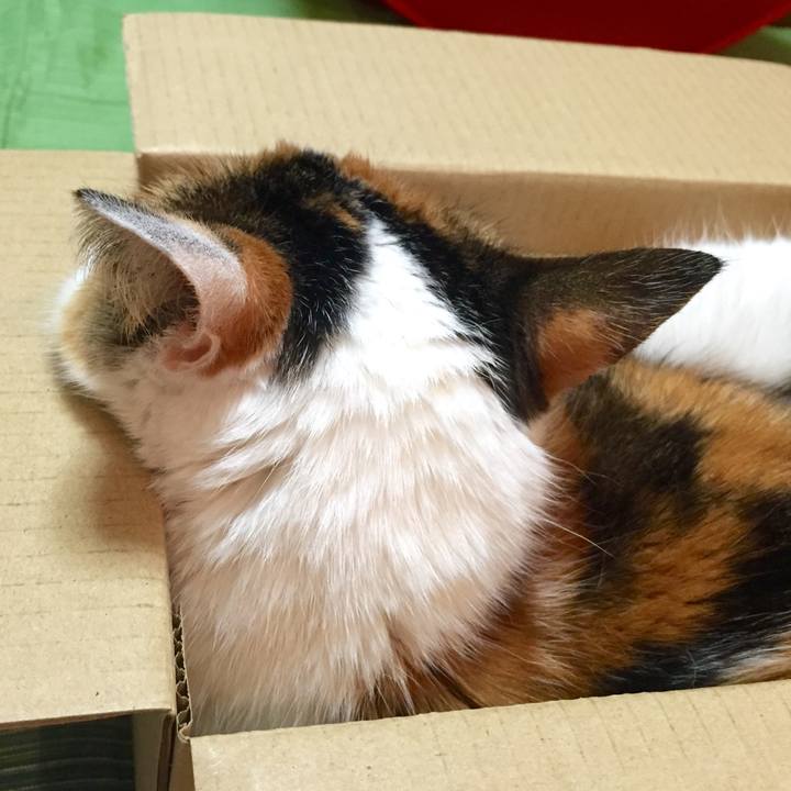 710447b9 243f 42a7 a33f 38f55741a869