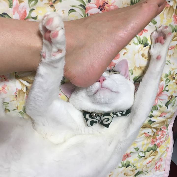 71044f75 0a26 44be 97a1 388923253687