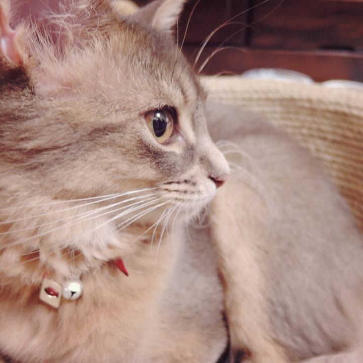 7104b4ad 7f48 4073 b8bd e8e523eb48c3