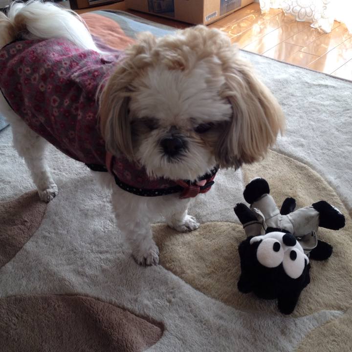 71054014 8dad 425a 9775 0bcff3eb60ec