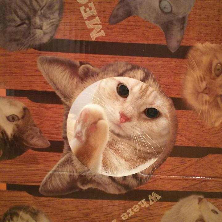 71056a6a 8c60 4281 993a 6493dd9a75ba