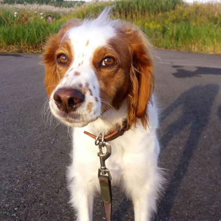 7105fa22 8660 4ed8 bb31 97f81635c36e