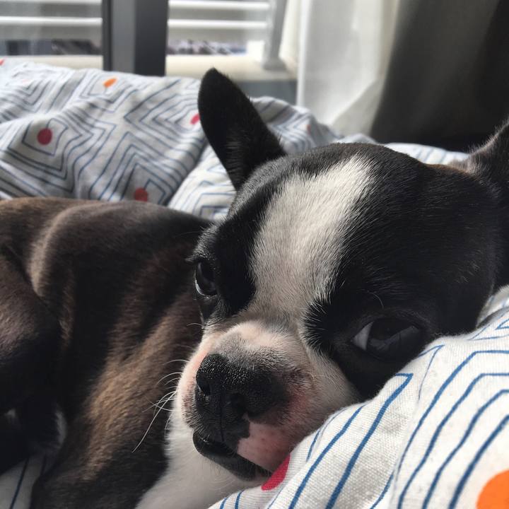 71061d84 d20a 4d85 9827 508731383056