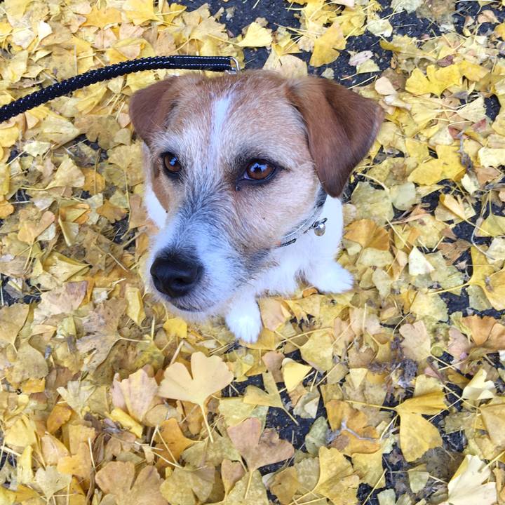 7107211a b728 4808 8ddc 899cb1a3828c