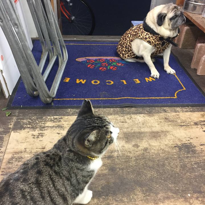 71073d9d 8886 4813 9e9a 923bddfb6e3d