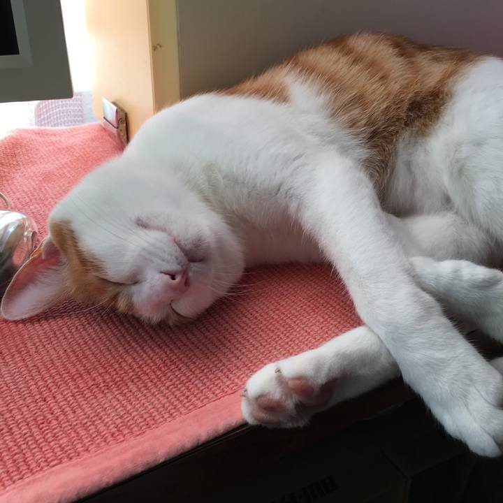 71078486 62e3 4ab0 a033 0ac353d43bef