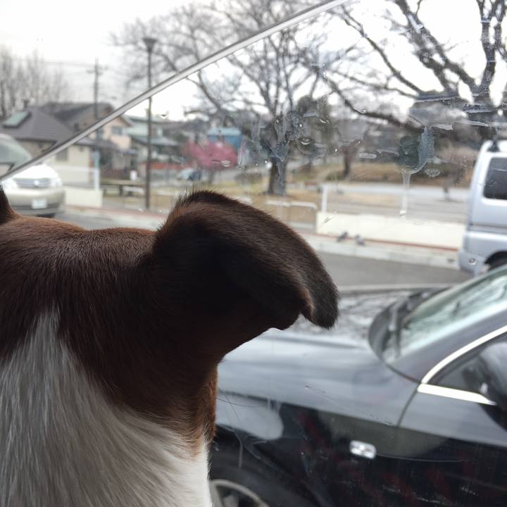 71078f9c d094 438c ac08 47ab20b283a2