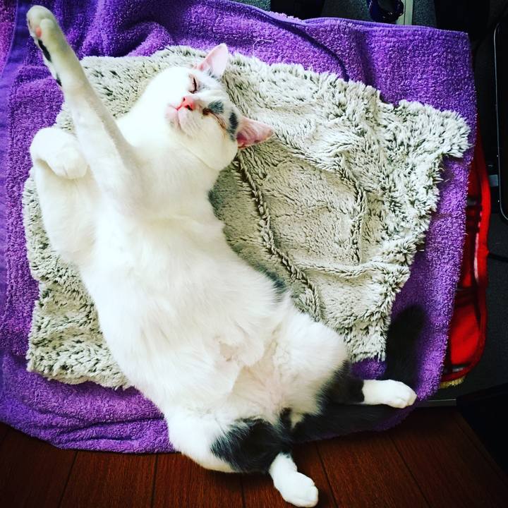 7108fa60 fa79 4758 b7f5 490f9cb212de