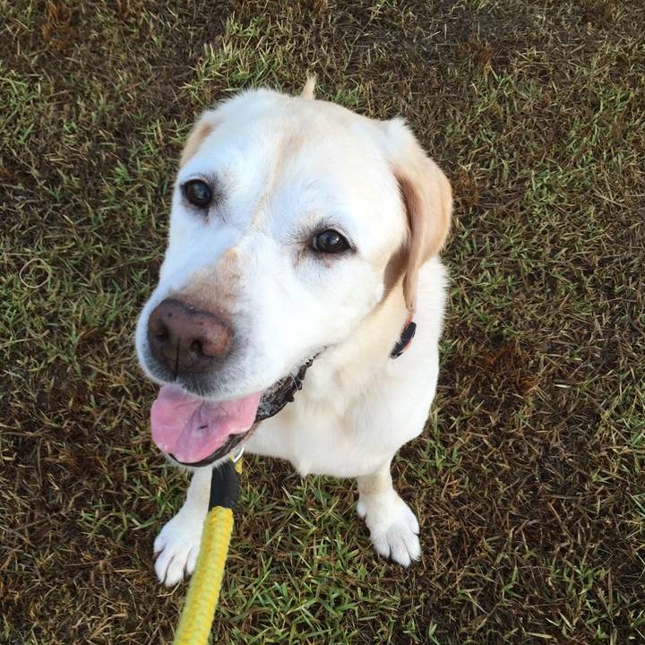 7109361c 02e3 433a 9a3f 82b1726e0b15