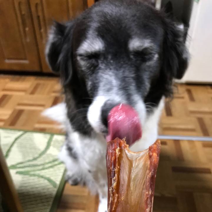 7109d123 e276 41af 99f3 9ba4d03f7297