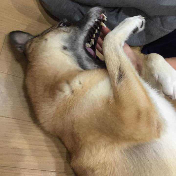 710b162a 6990 4ce9 bfdf e4f2e6b2fe74