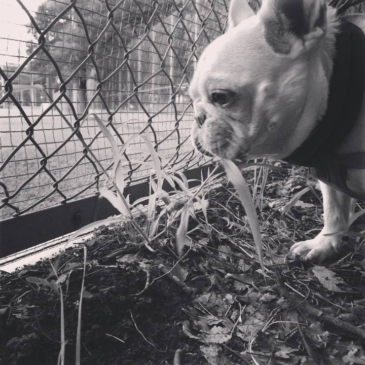 710b6b9b a090 4d25 9f23 d09954277ee4