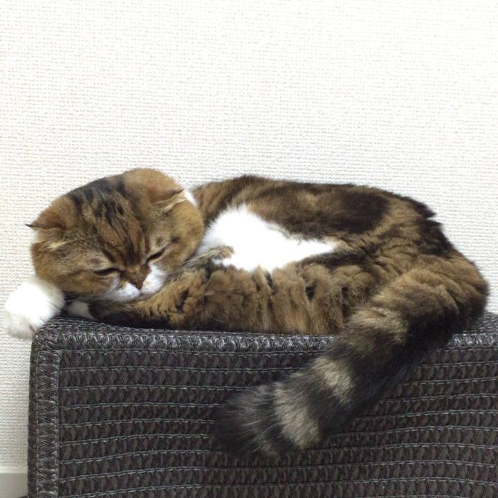 710bca43 b766 4c1a 889f d11711244e9a