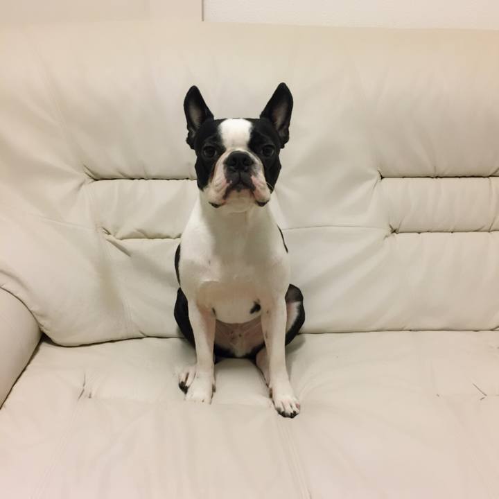 710c754c 5ad2 4721 92a3 3cf59ac15c43