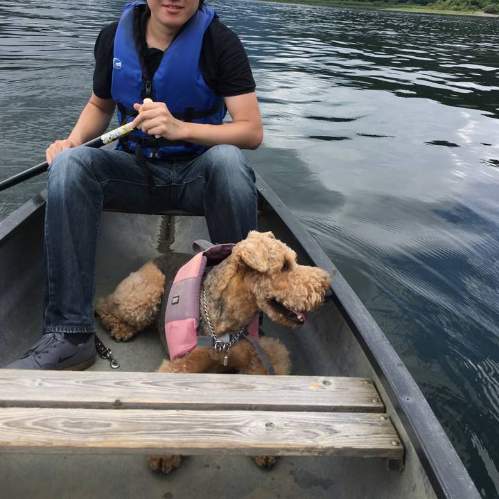 710c79bf 503e 4afe bd25 ed9c84490c8a