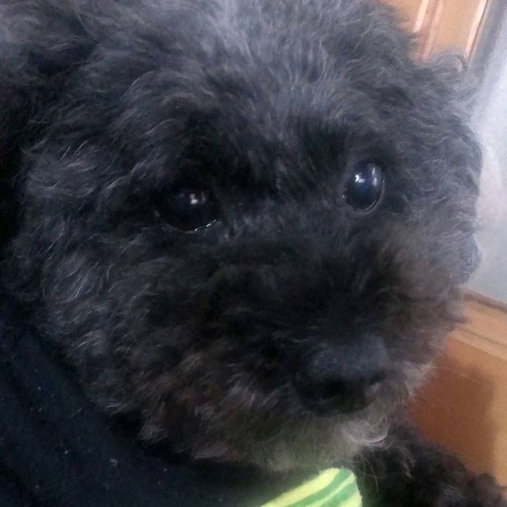 710ca19b 7407 4a5f a737 bcc127f37e02