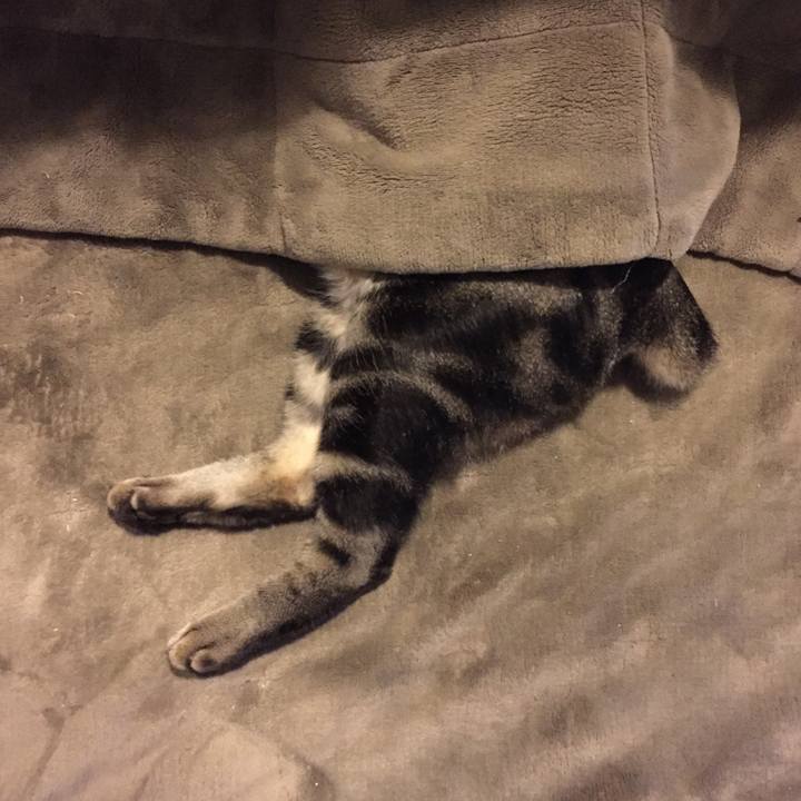 710cf870 31a3 4043 a9c1 a2be03766b7d