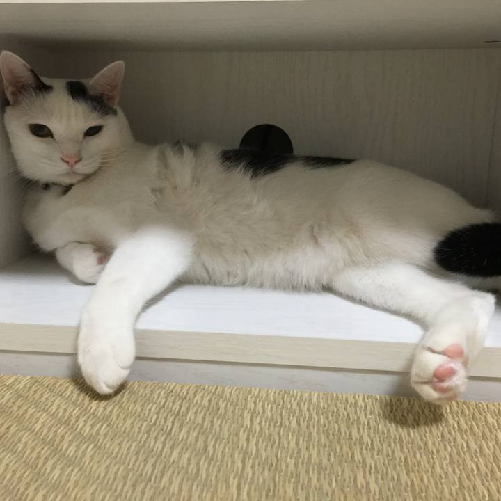 710d8d6b 7adc 4721 b3a7 12ebb0d1f7e5