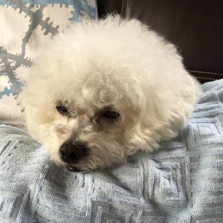 710d97a8 e8f5 4ddb b41e 6f4cdc5cc5b6