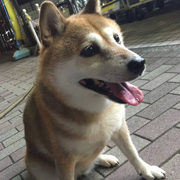 710de393 7b44 44fd a906 de84021b4c7d