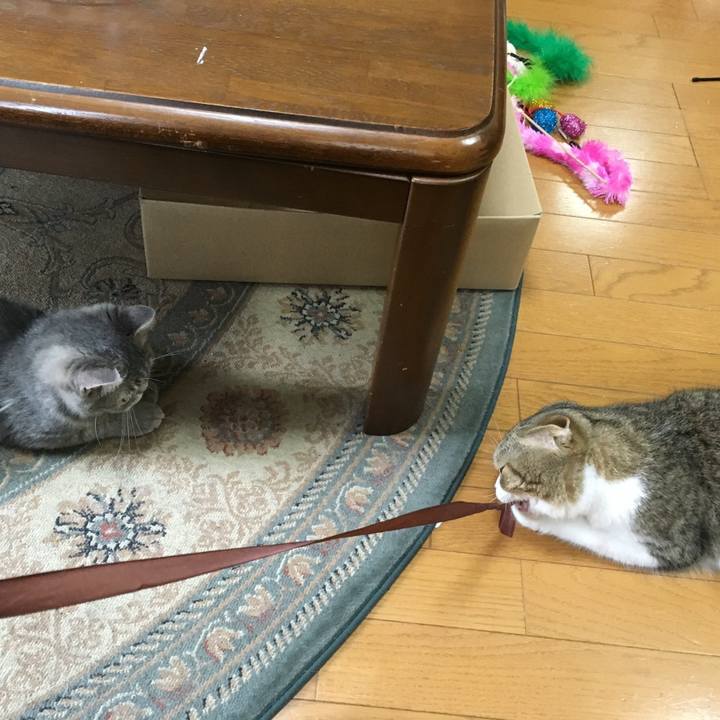 710e0d15 b883 4f52 8444 45d798166bdb