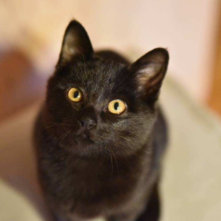 710e16c4 11ce 449d a65d 3ede2fcff674