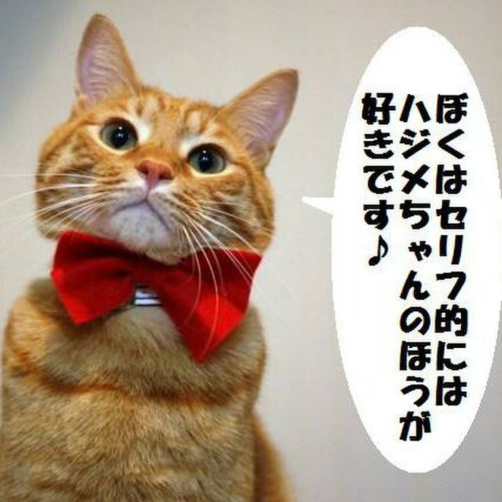 710e6d5a 8b7f 47c6 8135 82da47ae3c5a