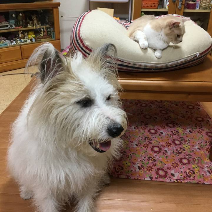 710e7446 8329 47f1 a99d d873f5cd5b82