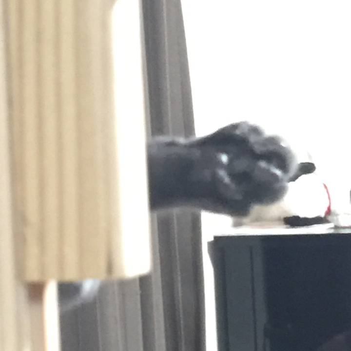 710e8961 fb99 4470 b14b 523dafa0dd7f