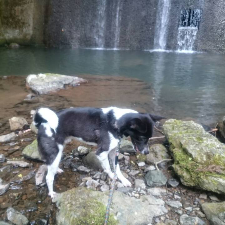 710f6772 cd86 428c a0d0 822caa011868