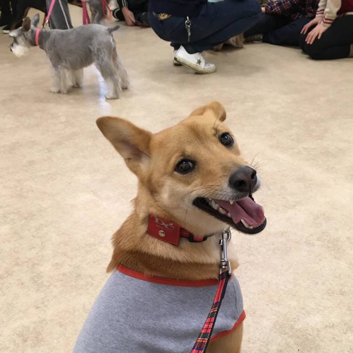 710f9df9 d0c2 4ba4 bf6f fba511a37756