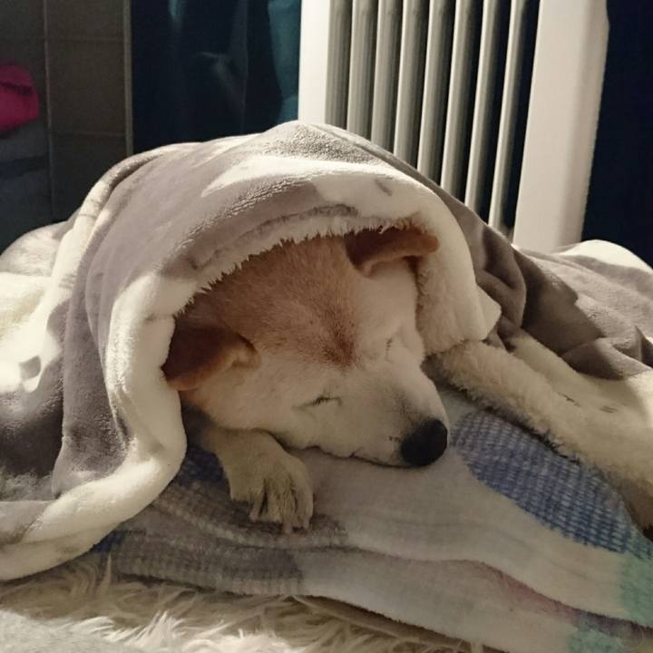 710fb2d3 57b1 4824 b7d6 77b44c1b3031