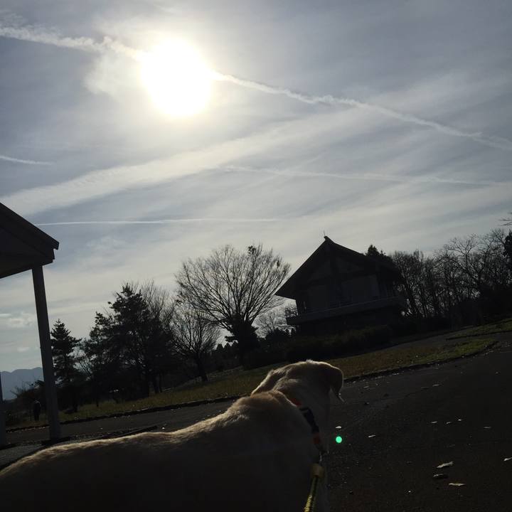 71103cc0 4ab6 4ef8 b9f3 f15689c05275