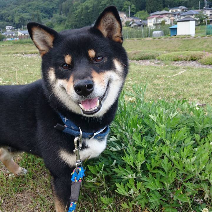 71107e3b 077a 40ca 897d adb12d7e6941