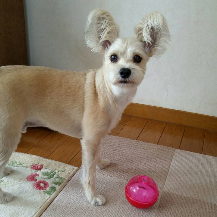 7110811b 8226 47aa 9e1b 23b089cff184